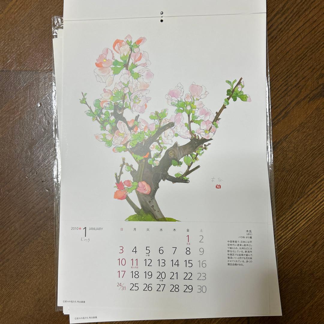 値下げ 水彩画 木製フレーム付き 外山康雄 原画 越の小貝母 名刺