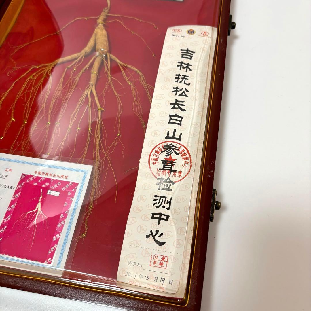 野山参 中国 高麗人参 鑑定書付き 吉林省産 高級野山参 健康 天然 皇室
