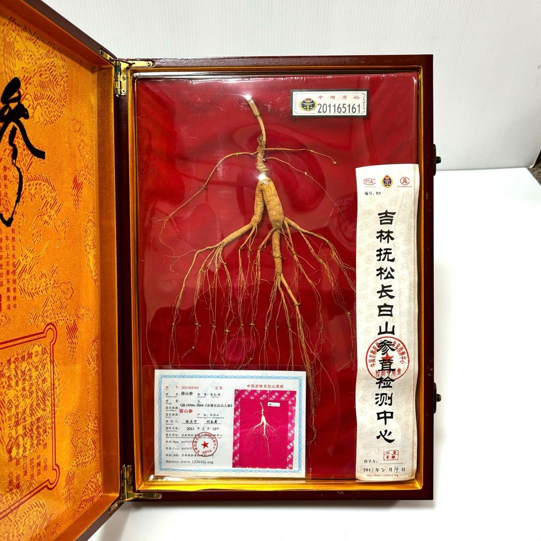 野山参 中国 高麗人参 鑑定書付き 吉林省産 高級野山参 健康 天然 皇室