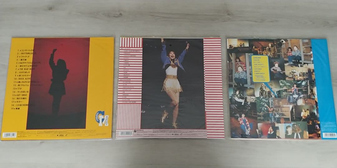 森高千里 レーザーディスク 合計11枚 - メルカリ