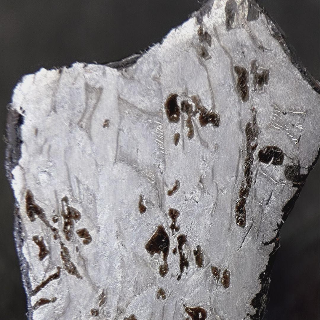 ギベオン隕石　(スライス)　8.8g