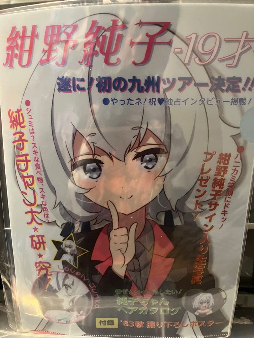 伝説の昭和のアイドル紺野純子セット ゾンビランドサガ - メルカリ