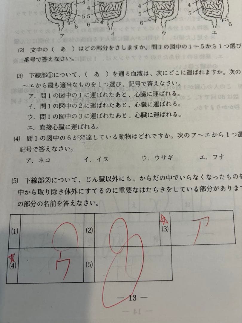 浜学園 '24年度 日曜特訓前期 〈灘コース〉 算数国語理科3科目フル