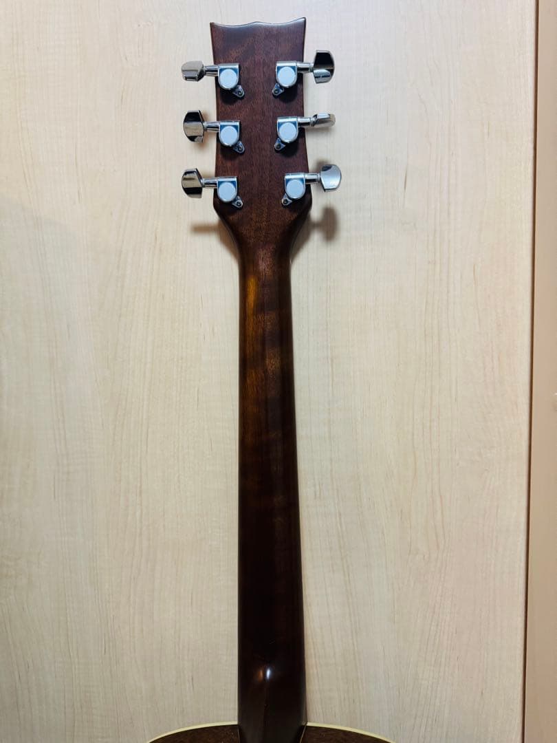 Morris MG302STS アコースティックギター - ギターブランド