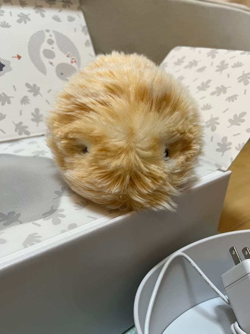 モフリン ゴールド CASIO - メルカリ