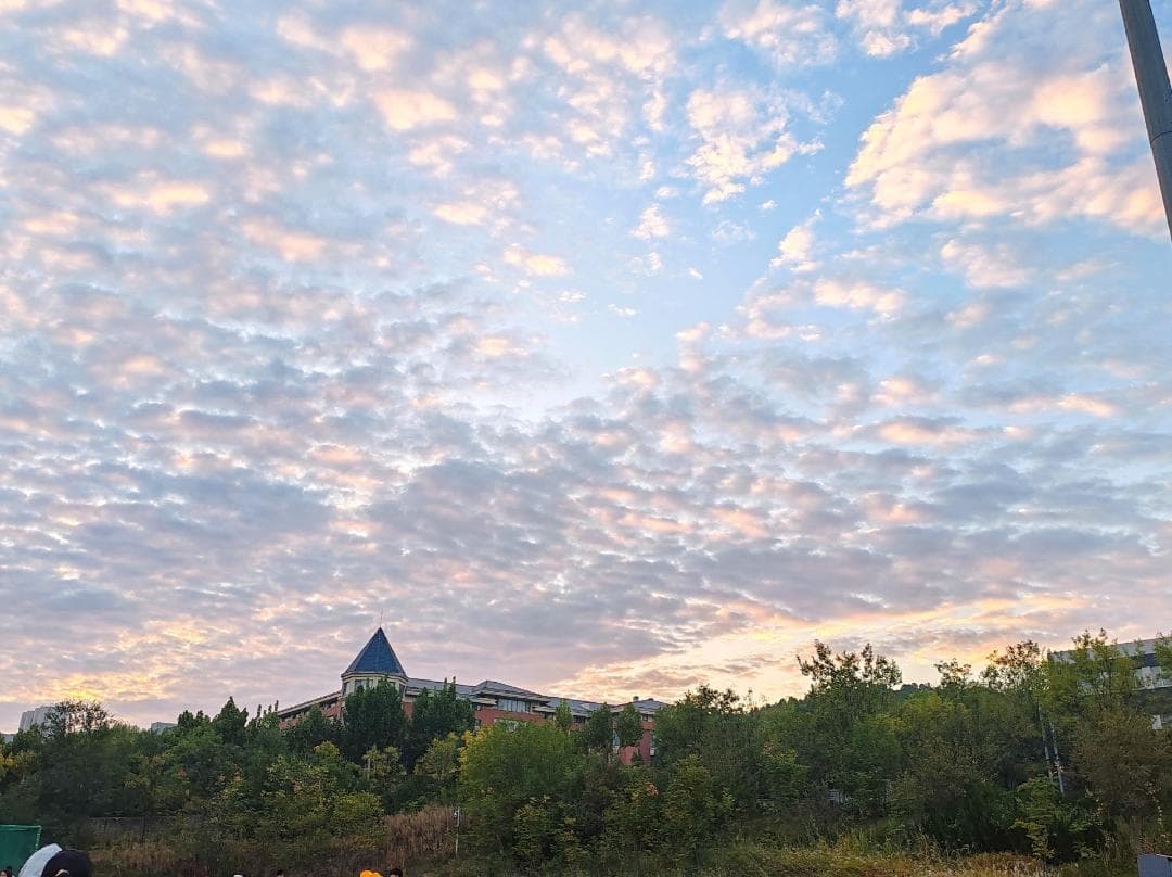 新品「SOYOブラシ」 10本セット 小田切ヒロさん熊野筆~a - メルカリ