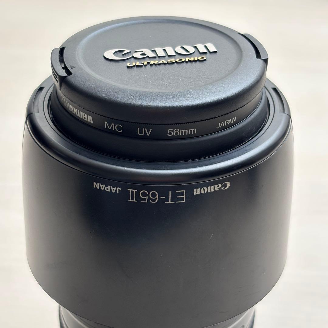 レンズ(ズーム) EF100-300mm F4.5-5.6 USM