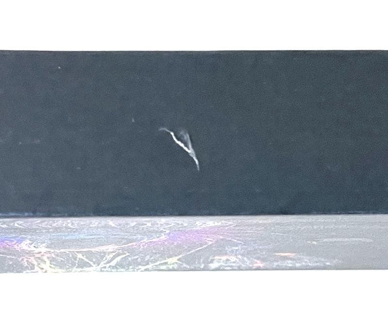 廃盤 限定盤 CD Dos Monos だんでぃどん feat. 筒井康隆