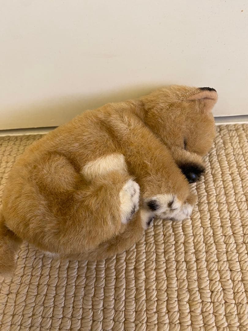 オンライン セールゲーム・おもちゃ・グッズ - 四季オリジナル 柴犬