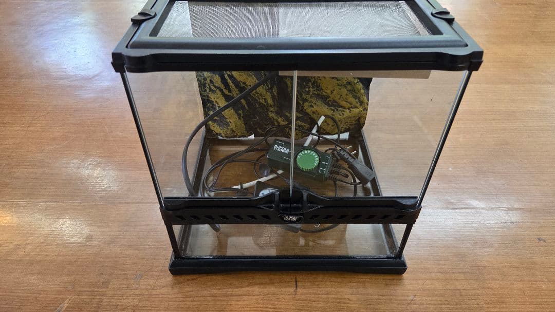 グラステラリウム 3030 サーモ、ダントツs 温度計