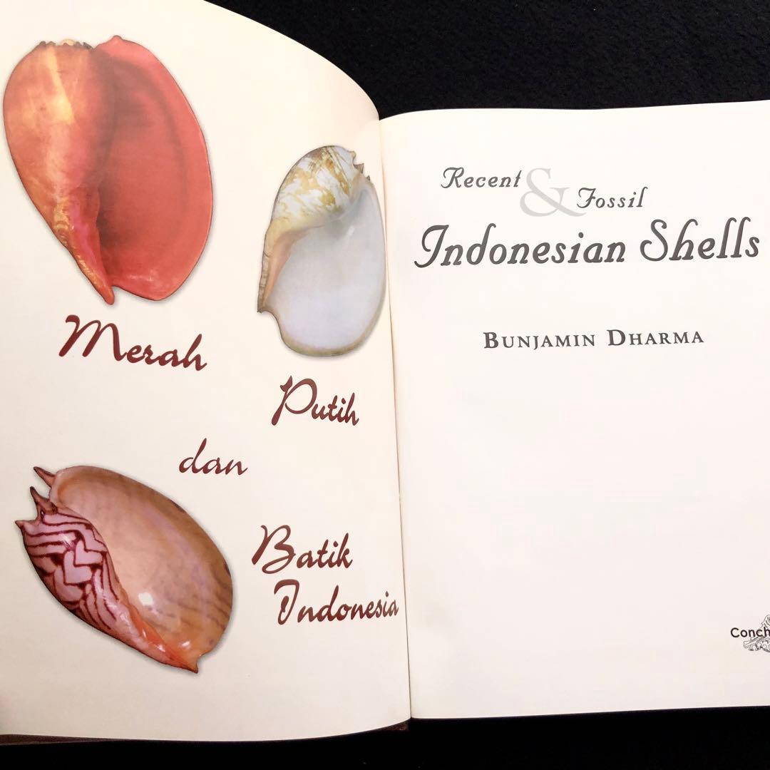 インドネシアの貝類と化石 図鑑「Indonesian Shells」 - メルカリ