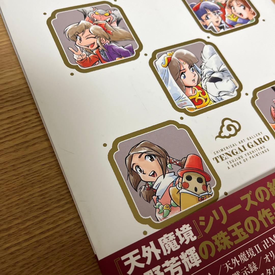 天外画廊 辻野芳輝画集 - メルカリ