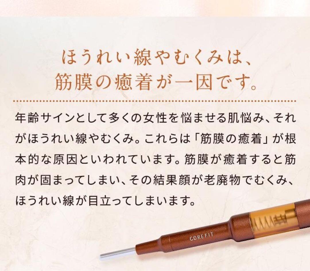 ☆限定値下げ☆リニューアル【新品未開封】コアフィット フェイス