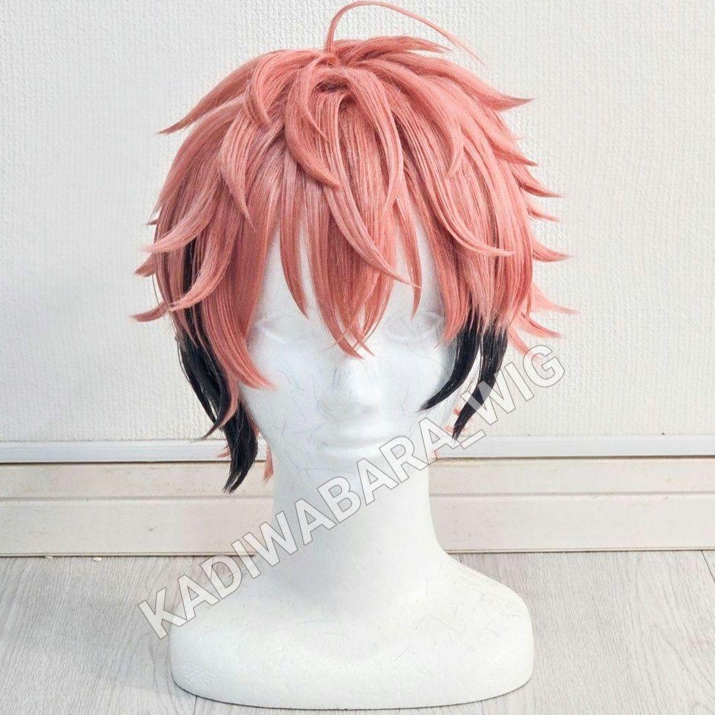 にじさんじ 赤城ウェン コスプレ衣装 ウィッグ - メルカリ