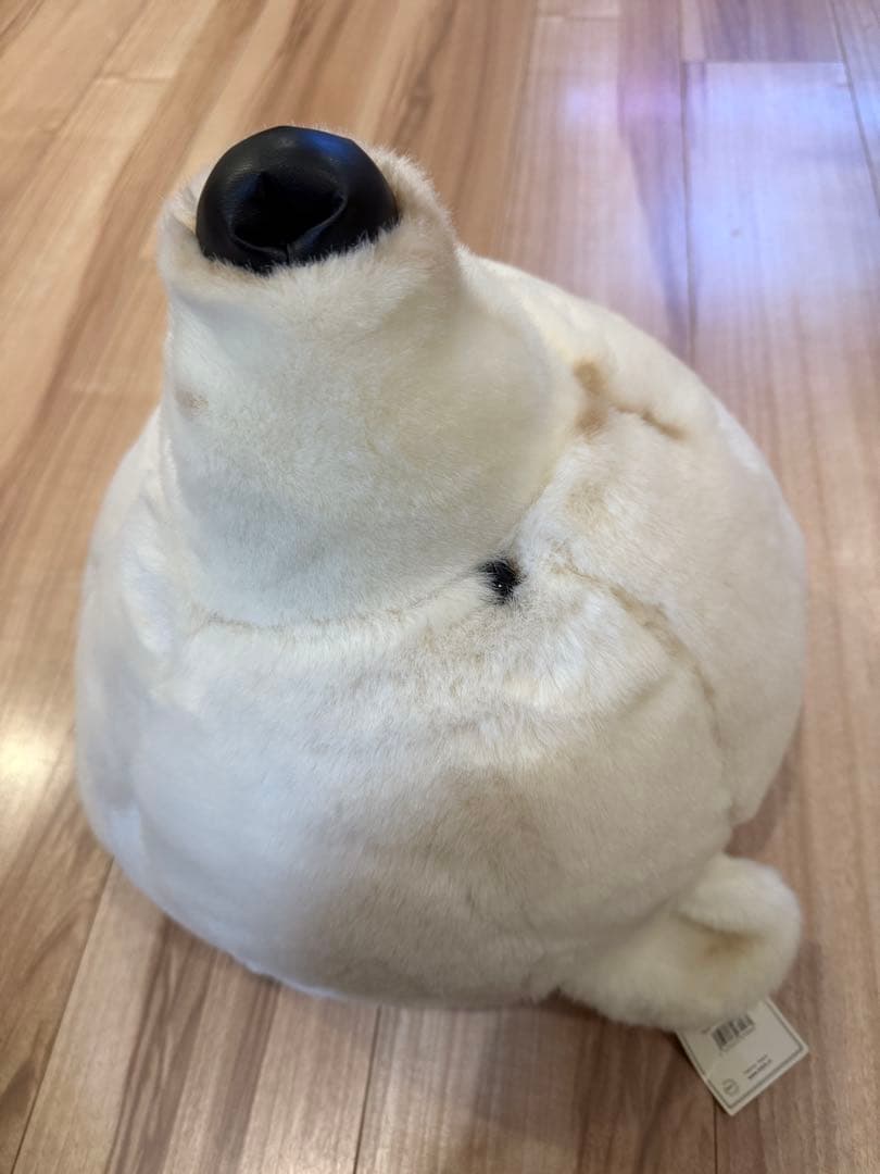タグあり】BiBiB&Co社 ポーラーベア ホッキョクグマ ぬいぐるみ剥製風