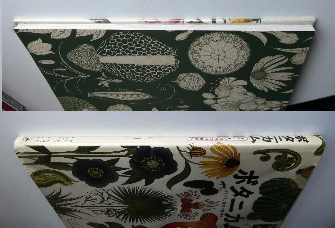 中古】ボタニカム ようこそ、植物の博物館へ キャシー・ウィリス 多田