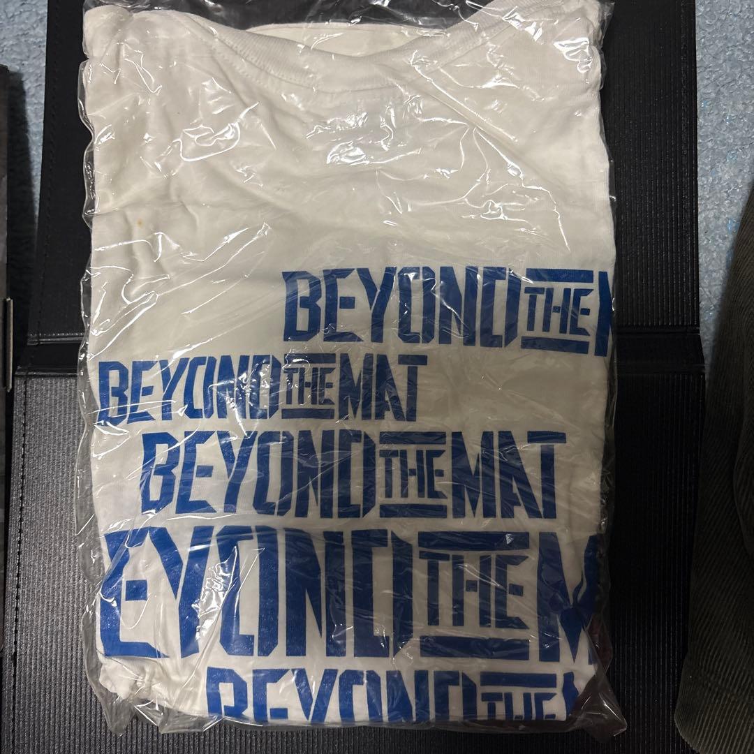 テリーファンク　フィギュア付き ビヨンドザマットDVD スペシャルボックス