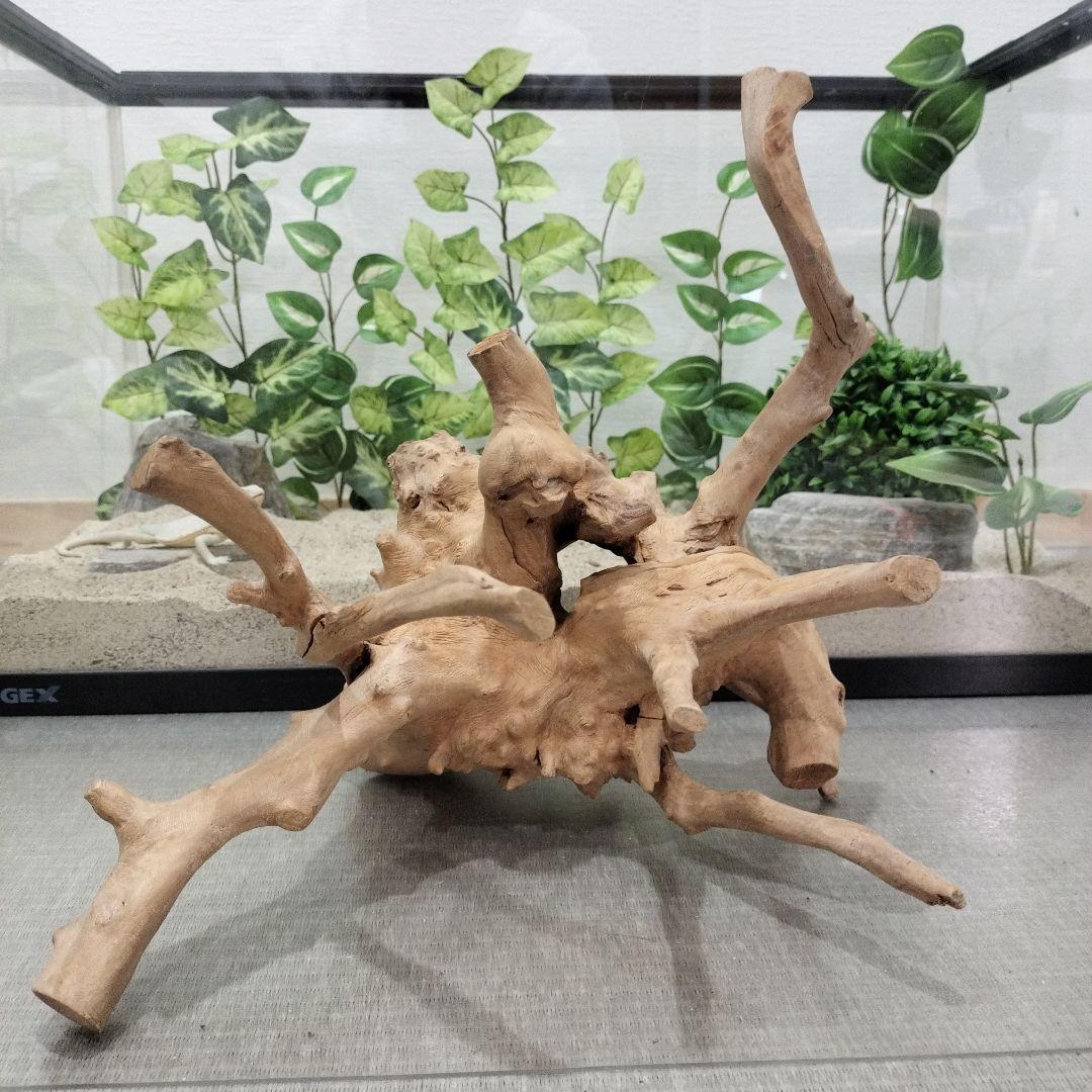 No.1157】シェルター流木 爬虫類レイアウト✫インテリア✫エアー