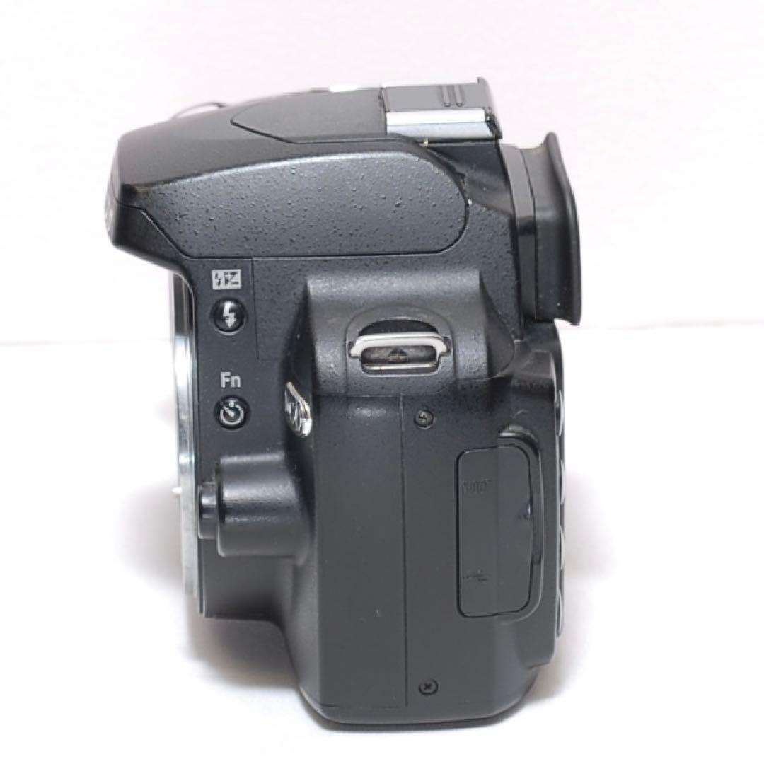 ✨初心者様向け✨Nikon D60✨ シングルレンズ✨ 簡単操作✨少