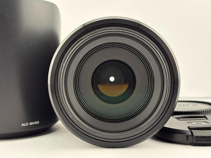 ★ソニー 70-300mm F4.5-5.6 G SSM SAL70300G