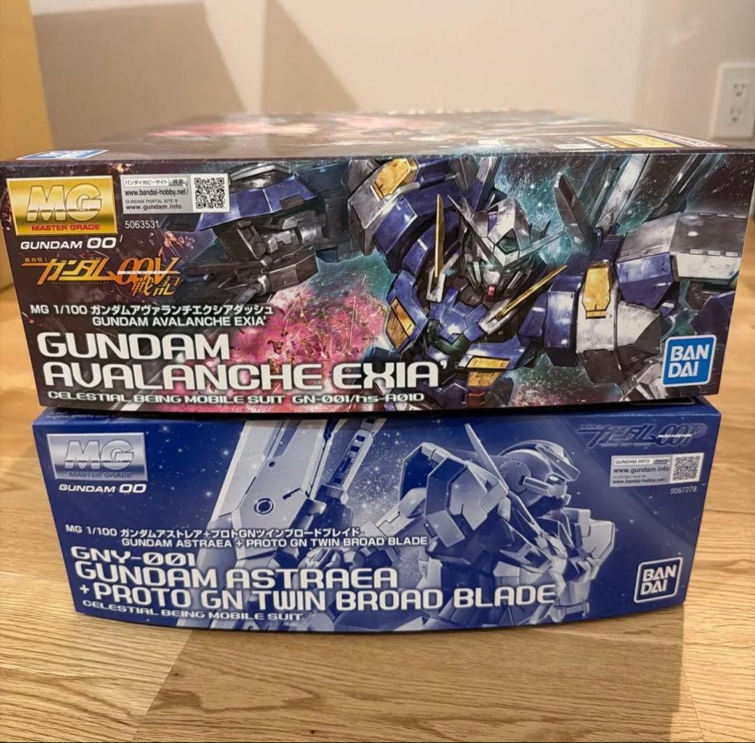 未組立品】MG 2種セット ガンダムアヴァランチ エクシアダッシュ