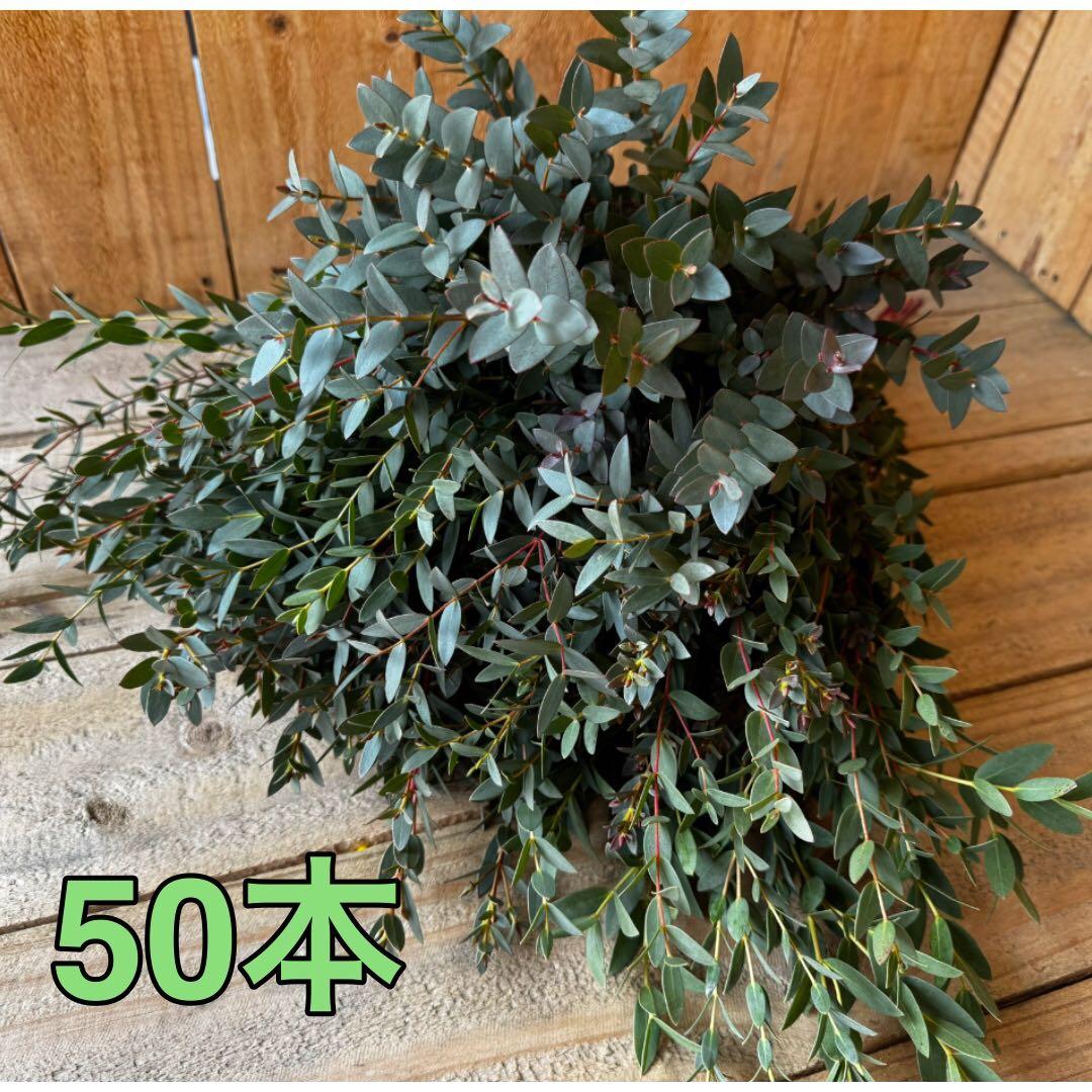 hana YOHAKU様 リクエスト 3点 まとめ商品