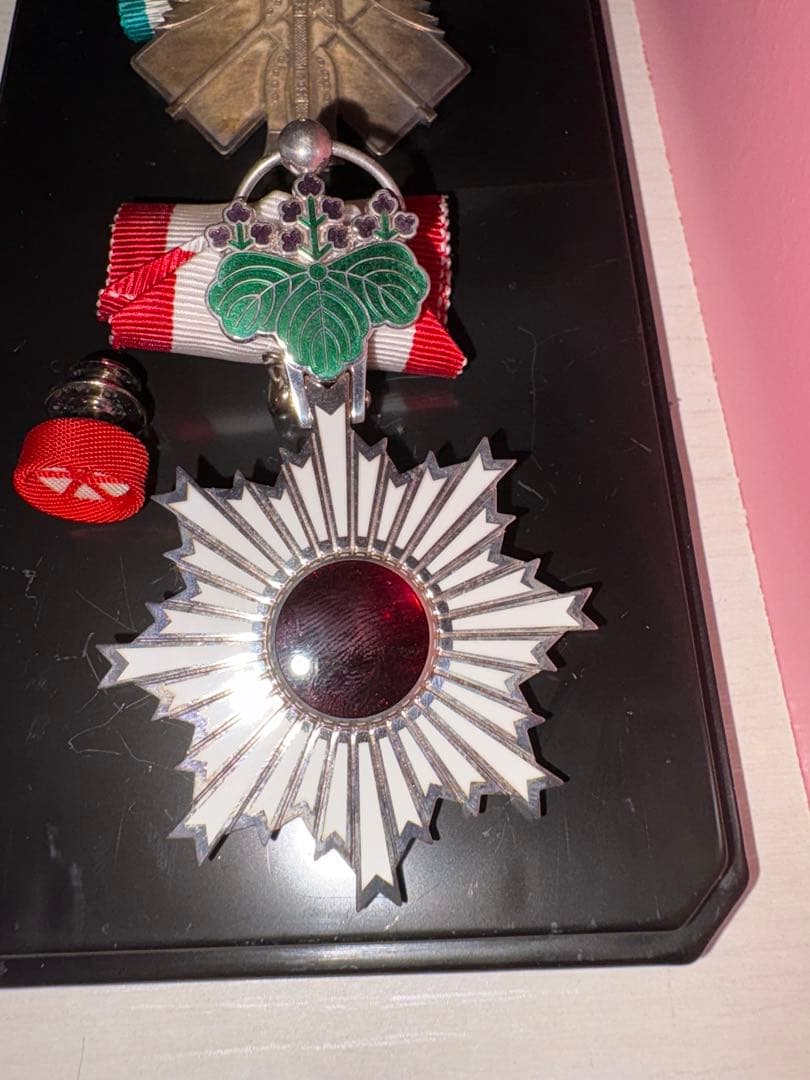 最後の写真をご覧ください。　勲章セット・バラ販売可•要相談《バラ購入価格相談品》