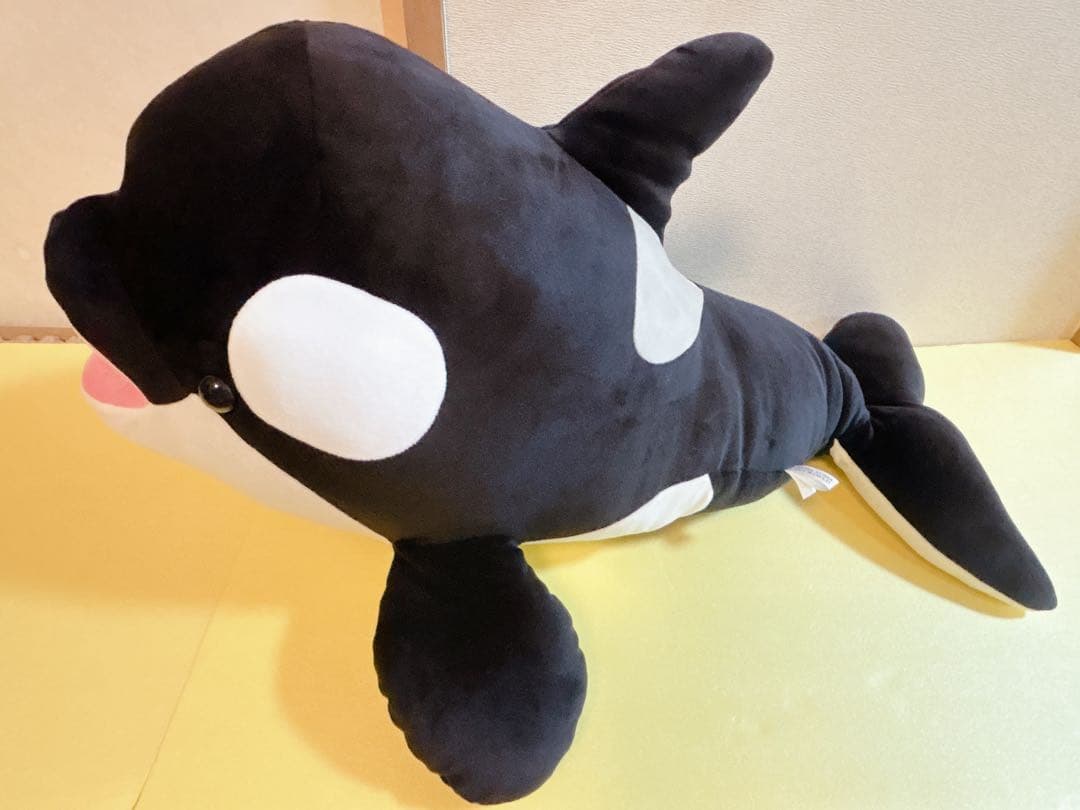 須磨シーワールド オルカくじ 1等 シャチくじ シャチ 70cm 特大サイズ