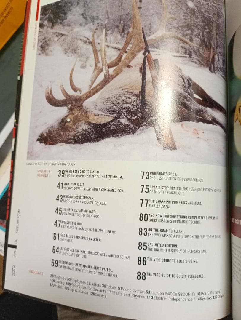 趣味 Vice Magazine Vol. 9 Terry Richardson