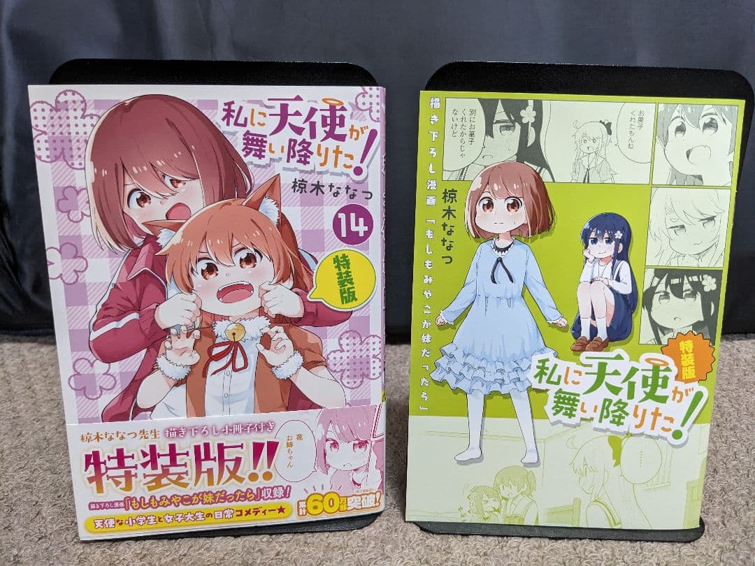 【全巻セット】私に天使が舞い降りた!