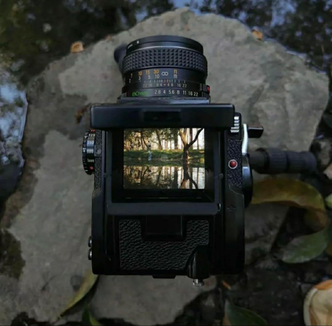 ブロニカ S2、GS-1 …のハイライトスクリーン 「フォーカシング