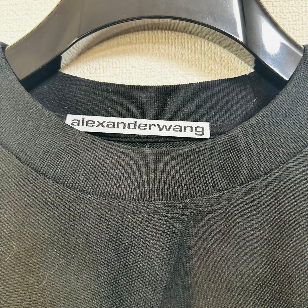登坂広臣着用ALEXANDER WANG Beefy Muscle スウェット - メルカリ