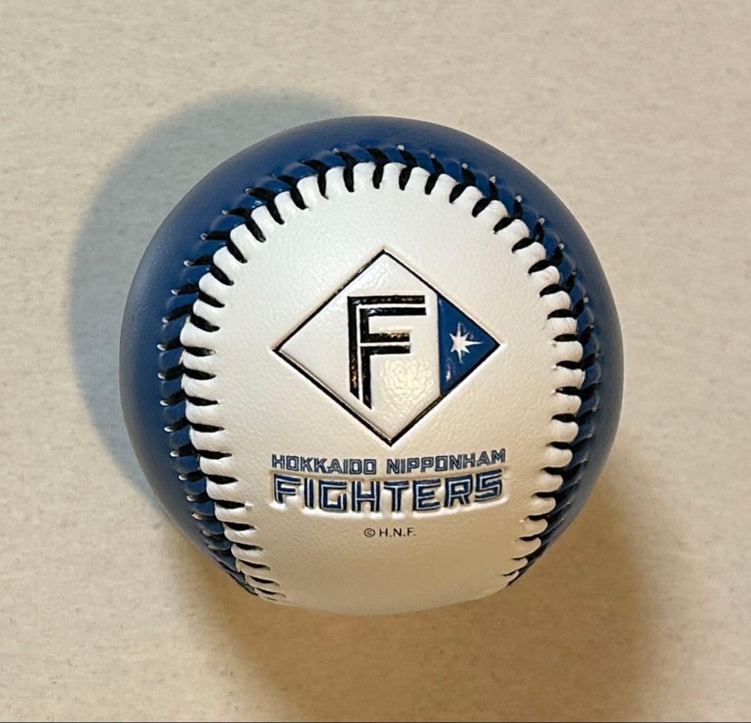 伊藤大海 北海道日本ハムファイターズ 春季キャンプ 沖縄 直筆サイン