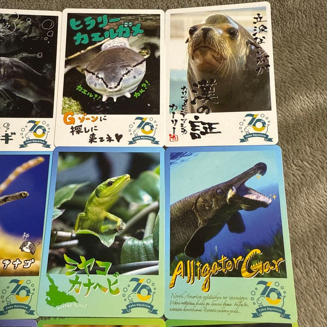 鳥羽水族館 コレクションカード ⑨ 16枚セット - メルカリ