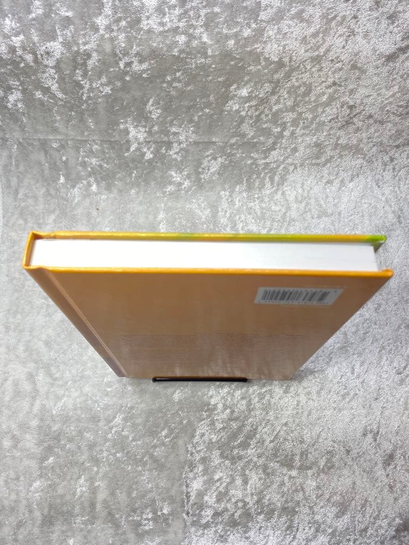 【匿名配送】Unsafety