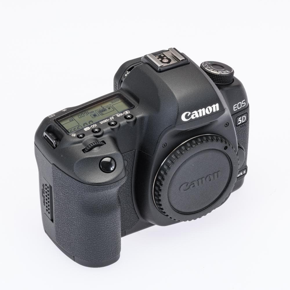 激レア！ショット数僅か734 極上動作品！ Canon 5DMARKⅡ付属品多数