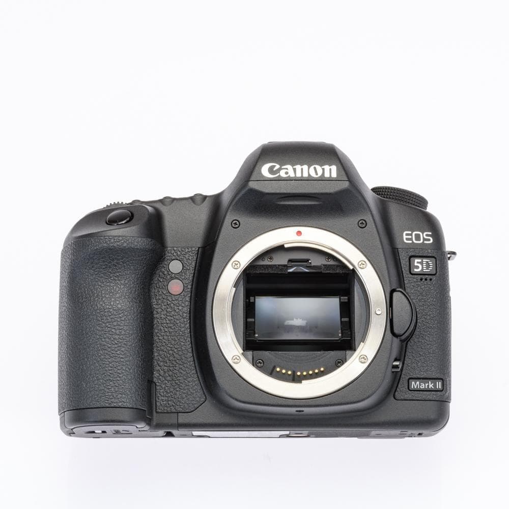 激レア！ショット数僅か734 極上動作品！ Canon 5DMARKⅡ付属品多数