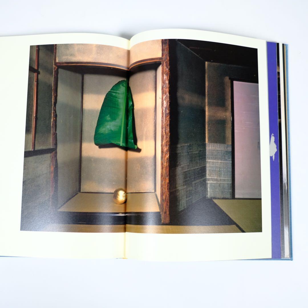 魔の山】中川幸夫 作品集 求龍堂 写真集 花道 極希少本 稀覯本 - メルカリ