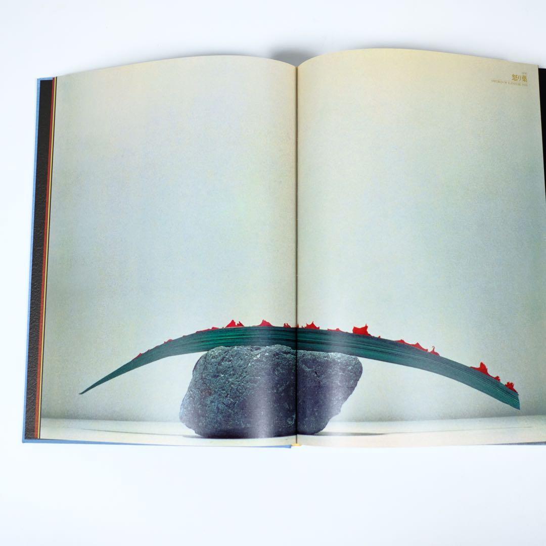 魔の山】中川幸夫 作品集 求龍堂 写真集 花道 極希少本 稀覯本 - メルカリ