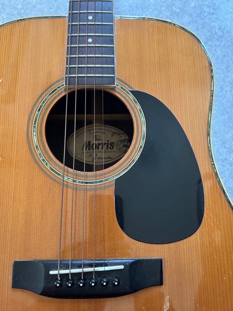 Morris ギター 本体のみ W-25 - メルカリ