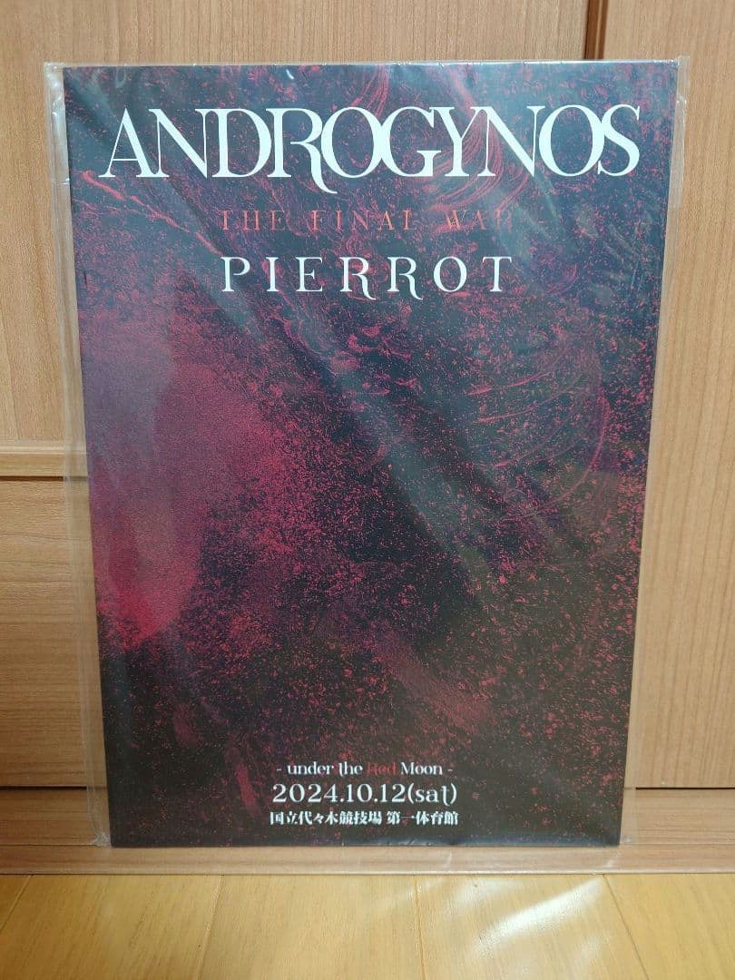 ANDROGYNOS パンフレット / PIERROT DIR EN GREY - メルカリ