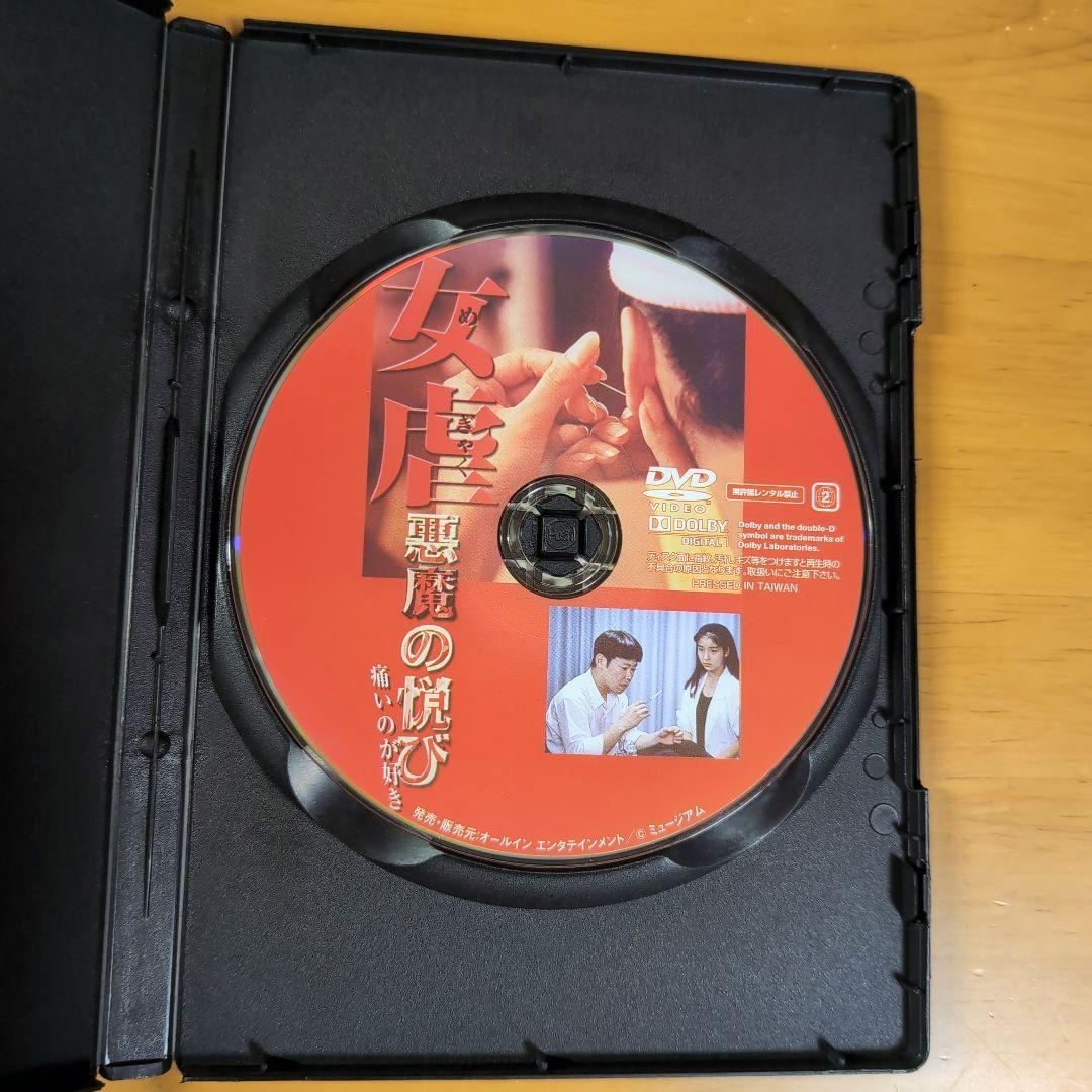 女虐 悪魔の悦び痛いのが好き DVD 廃盤 【セル版】