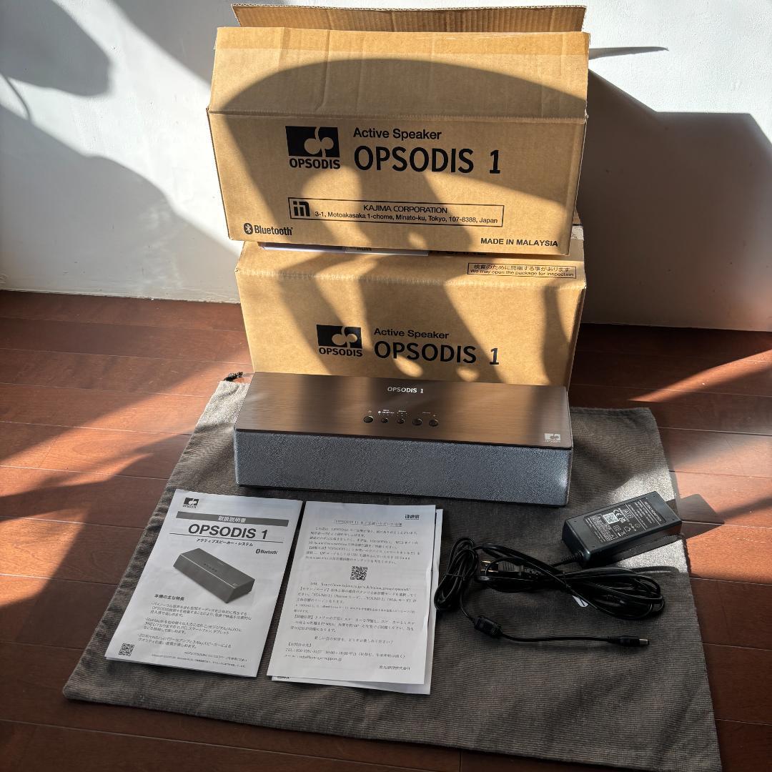 OPSODIS 1 鹿島建設 (シルバー)