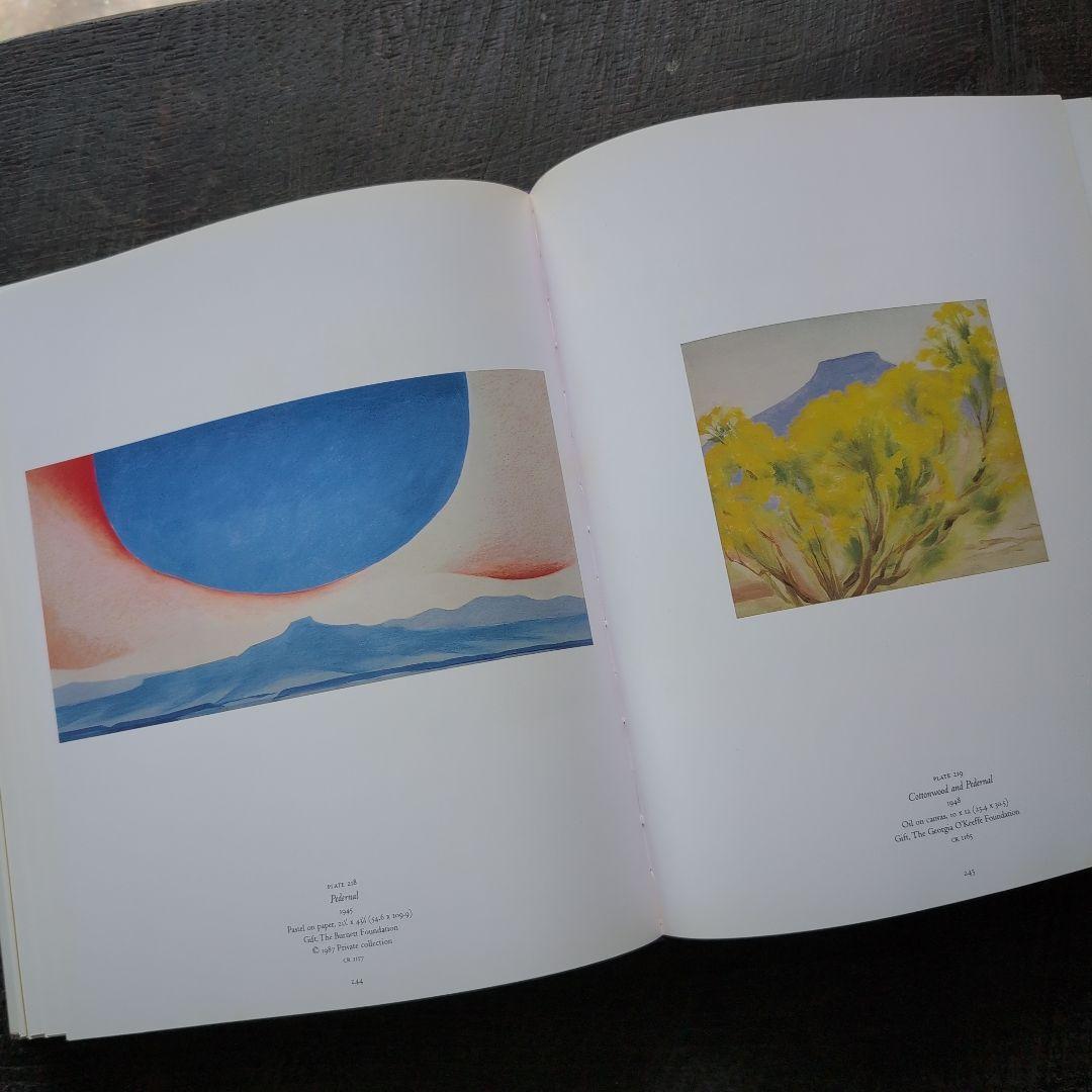 Georgia okeeff museum ジョージア・オキーフ画集 英語版