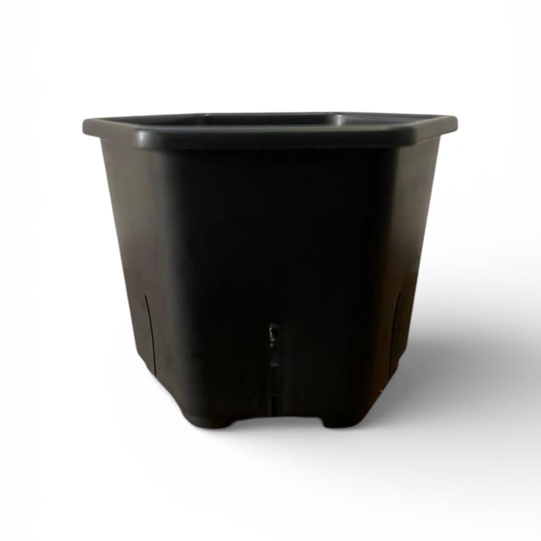 HexaPot (ヘキサポット)5号 サイズ　30個セット HexaPot（ヘキサポット）六角形プラ鉢 5号相当 – linkplants -リンク