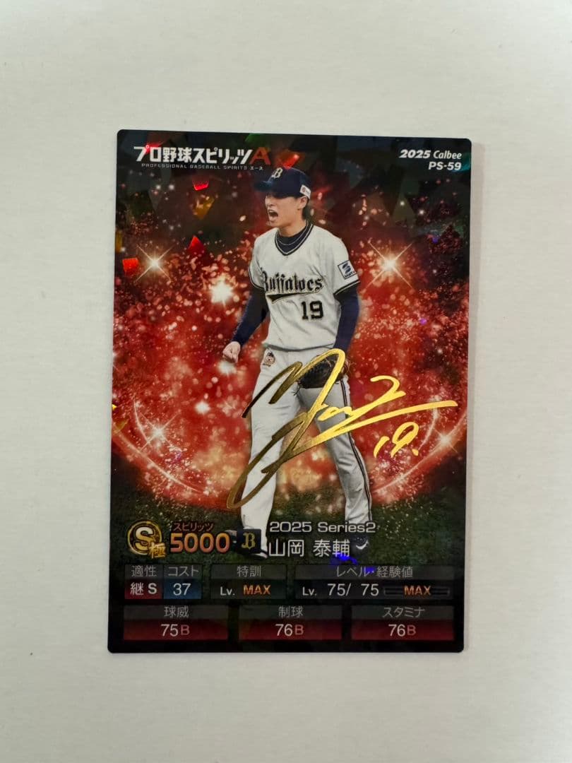 山岡泰輔 金箔サイン プロ野球チップス プロ野球スピリッツA