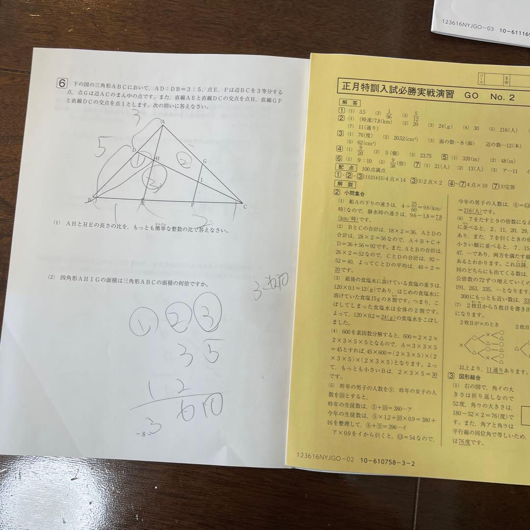 サピックス算数 冬期・正月特訓入試必勝実戦演習(GO) - メルカリ