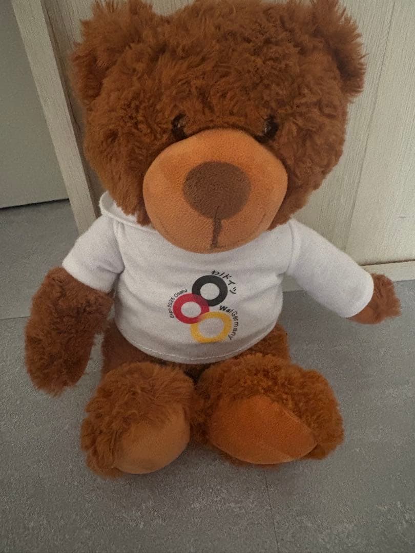 も*え様 EXPO2025 万博 ドイツ館 テディベア 9時予約、9時半到着で10時入場でした。 10時半前にドイツ館