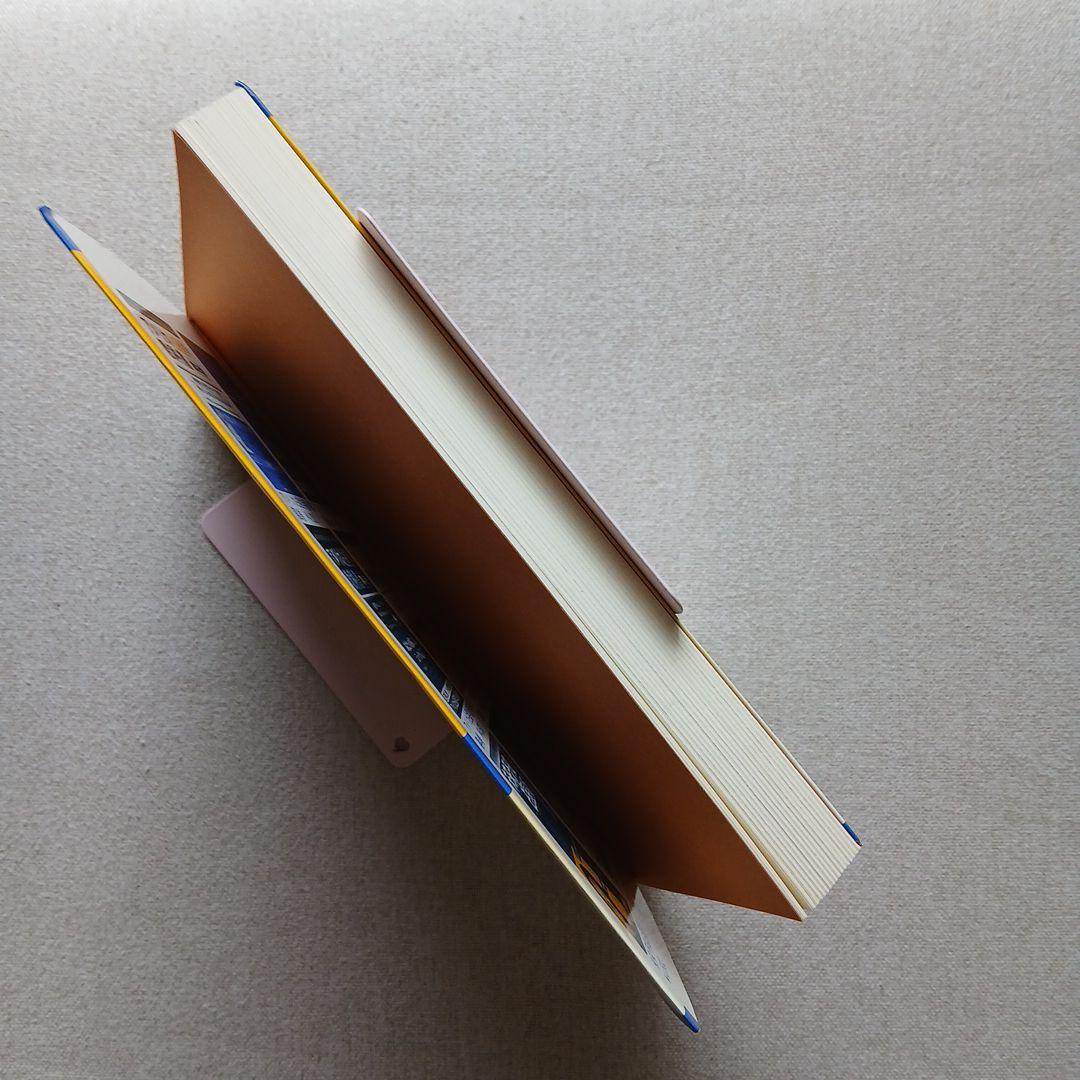 希少】アメリカ占星学教科書 第5巻 驚異の実用占星学 本