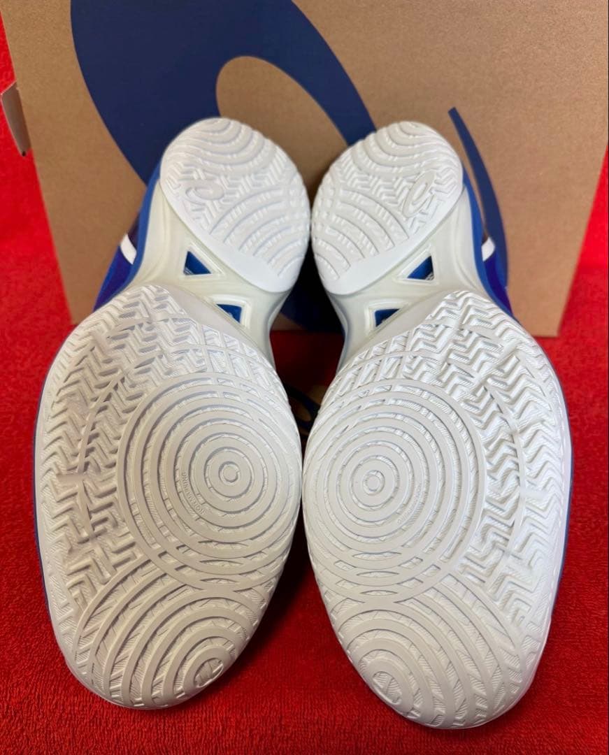 asics アシックス　グライドノヴァff2 28.0cm US10